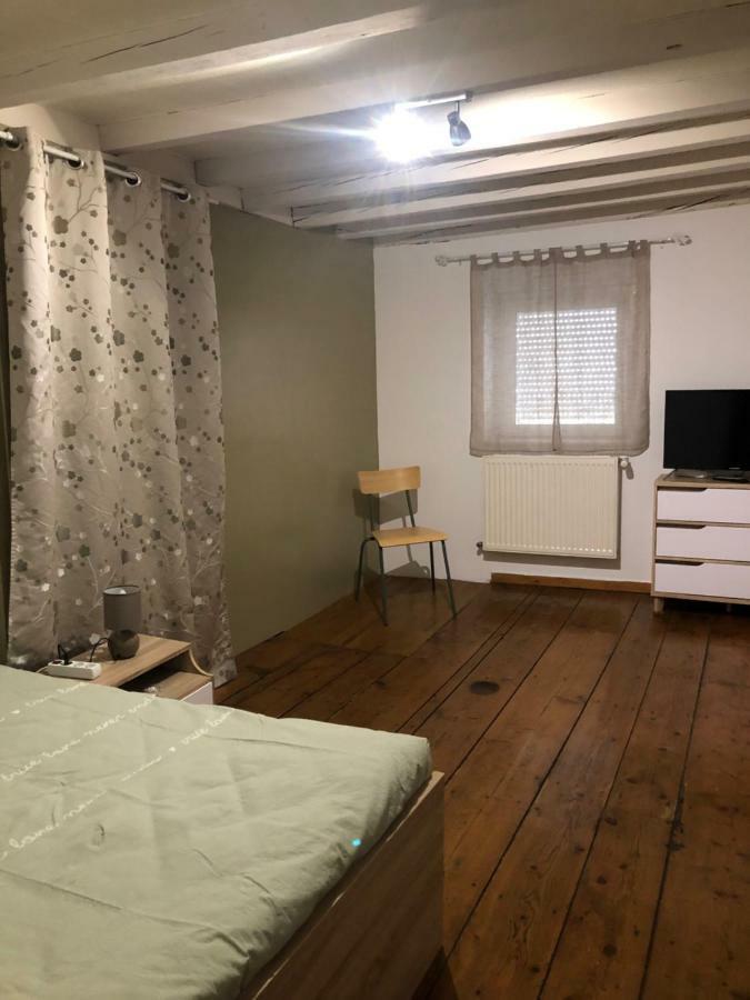 Spacieux Appartement 2/6 Pers 110M² Proche Cnpe Lagnieu エクステリア 写真