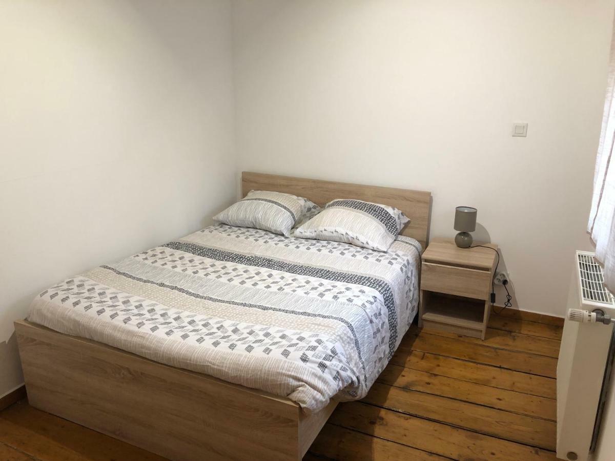 Spacieux Appartement 2/6 Pers 110M² Proche Cnpe Lagnieu エクステリア 写真